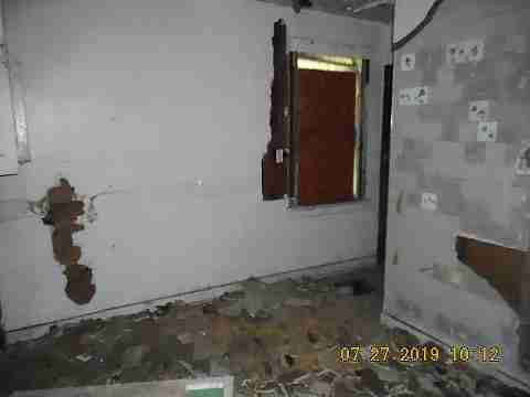 16737 Dolphin (24)_m.jpg